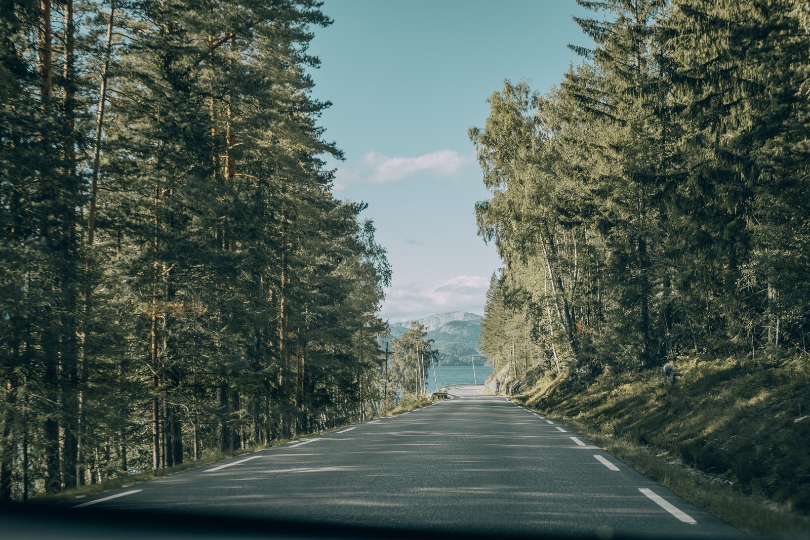 gray asphalt road between green trees under blue sky during daytime